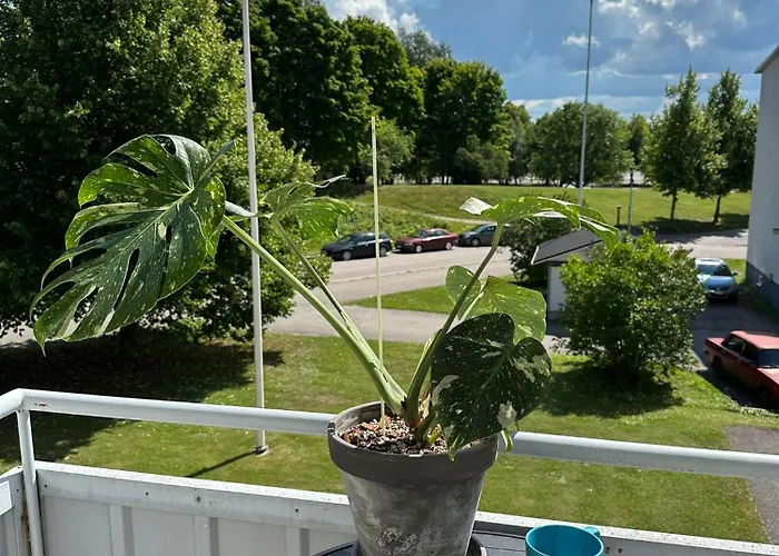 Upea Kaksio Keskustasta 51m2, Wifi Lappeenranta